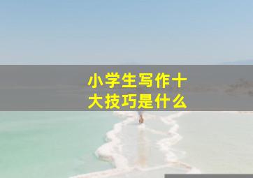 小学生写作十大技巧是什么