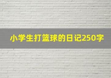 小学生打篮球的日记250字