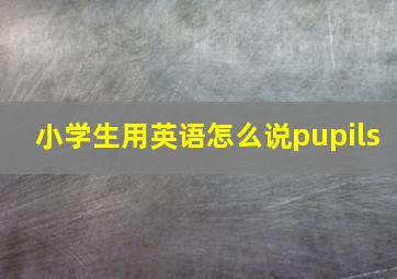 小学生用英语怎么说pupils