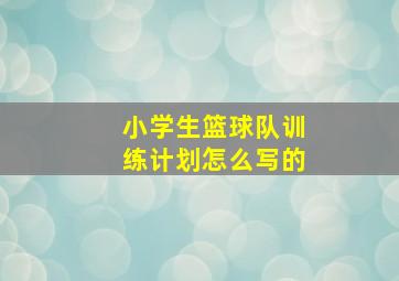 小学生篮球队训练计划怎么写的