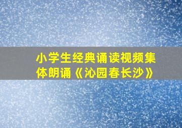 小学生经典诵读视频集体朗诵《沁园春长沙》