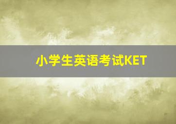 小学生英语考试KET