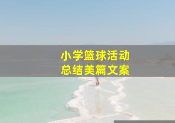 小学篮球活动总结美篇文案