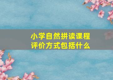 小学自然拼读课程评价方式包括什么