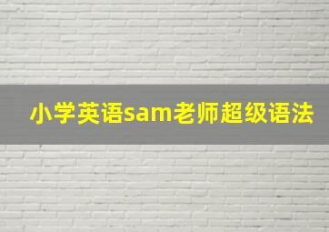 小学英语sam老师超级语法