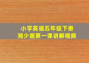 小学英语五年级下册湘少版第一课讲解视频