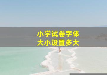 小学试卷字体大小设置多大