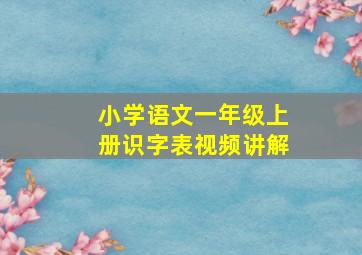 小学语文一年级上册识字表视频讲解