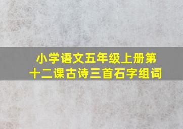 小学语文五年级上册第十二课古诗三首石字组词