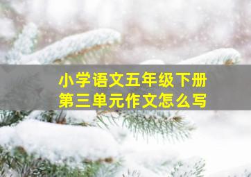 小学语文五年级下册第三单元作文怎么写