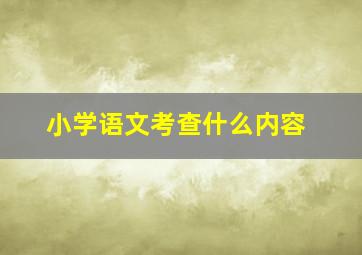 小学语文考查什么内容