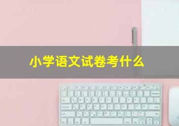 小学语文试卷考什么