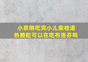 小孩刚吃完小儿柴桂退热颗粒可以在吃布洛芬吗