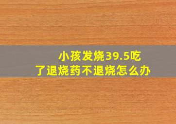 小孩发烧39.5吃了退烧药不退烧怎么办