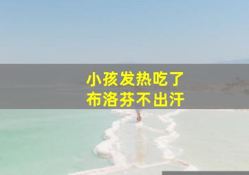 小孩发热吃了布洛芬不出汗