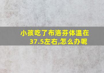 小孩吃了布洛芬体温在37.5左右,怎么办呢