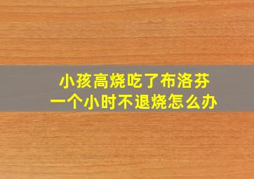 小孩高烧吃了布洛芬一个小时不退烧怎么办