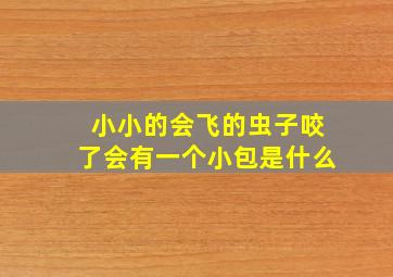 小小的会飞的虫子咬了会有一个小包是什么