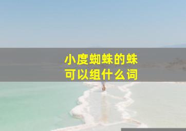 小度蜘蛛的蛛可以组什么词