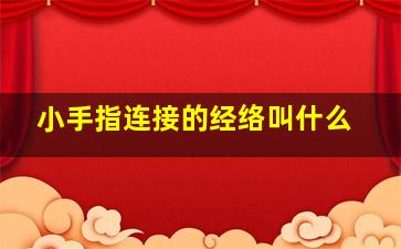 小手指连接的经络叫什么