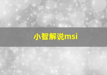 小智解说msi