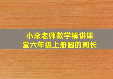 小朵老师数学精讲课堂六年级上册圆的周长