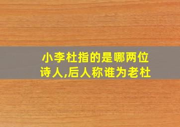 小李杜指的是哪两位诗人,后人称谁为老杜