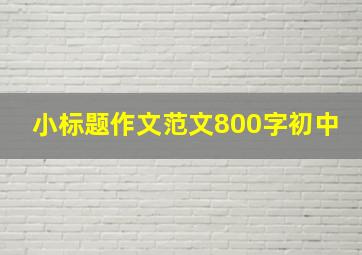 小标题作文范文800字初中