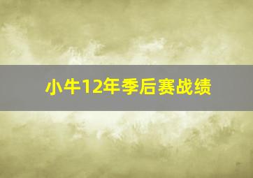 小牛12年季后赛战绩