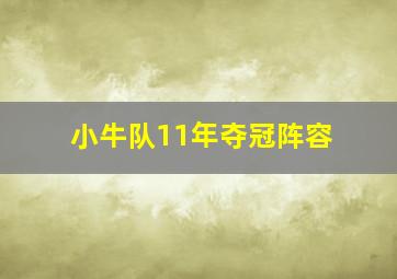 小牛队11年夺冠阵容