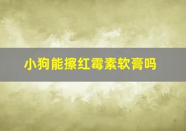 小狗能擦红霉素软膏吗