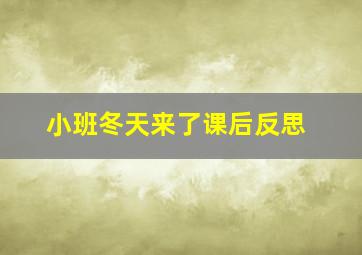 小班冬天来了课后反思