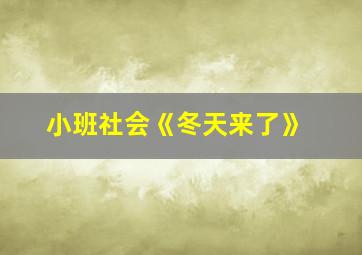 小班社会《冬天来了》