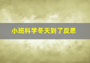 小班科学冬天到了反思