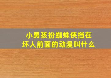 小男孩扮蜘蛛侠挡在坏人前面的动漫叫什么