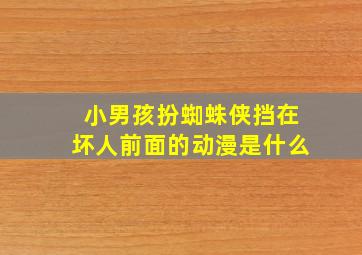 小男孩扮蜘蛛侠挡在坏人前面的动漫是什么