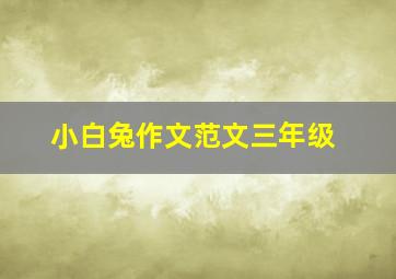 小白兔作文范文三年级