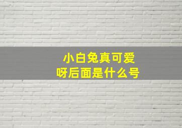 小白兔真可爱呀后面是什么号