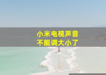 小米电视声音不能调大小了