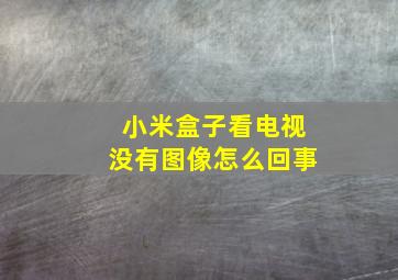 小米盒子看电视没有图像怎么回事