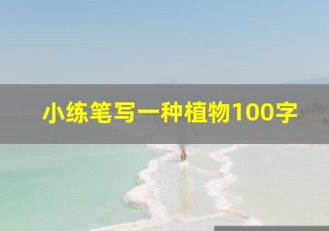 小练笔写一种植物100字