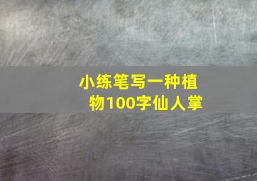 小练笔写一种植物100字仙人掌