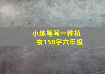 小练笔写一种植物150字六年级