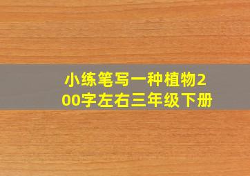 小练笔写一种植物200字左右三年级下册