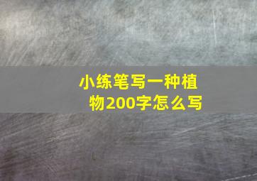 小练笔写一种植物200字怎么写