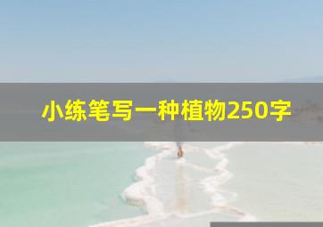 小练笔写一种植物250字