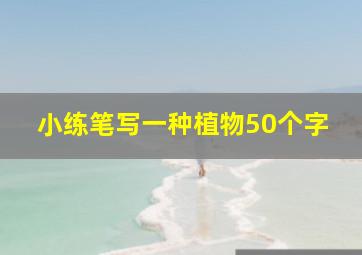 小练笔写一种植物50个字