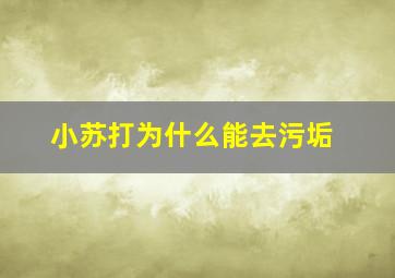 小苏打为什么能去污垢