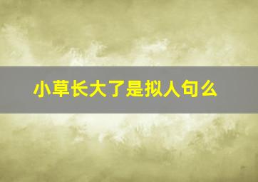 小草长大了是拟人句么