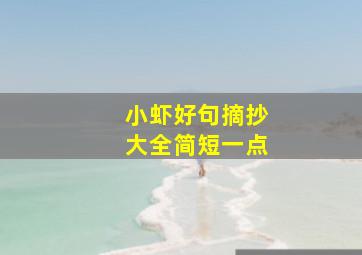 小虾好句摘抄大全简短一点